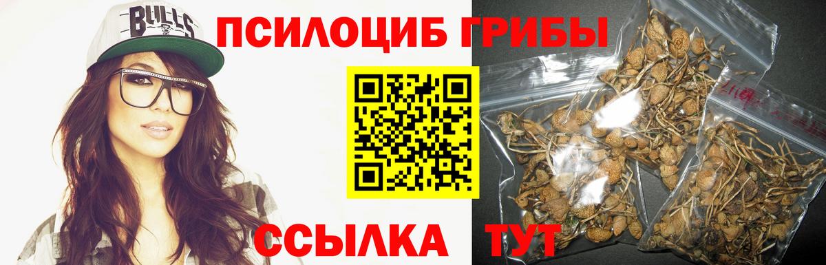 Псилоцибиновые грибы Psilocybine cubensis Симферополь