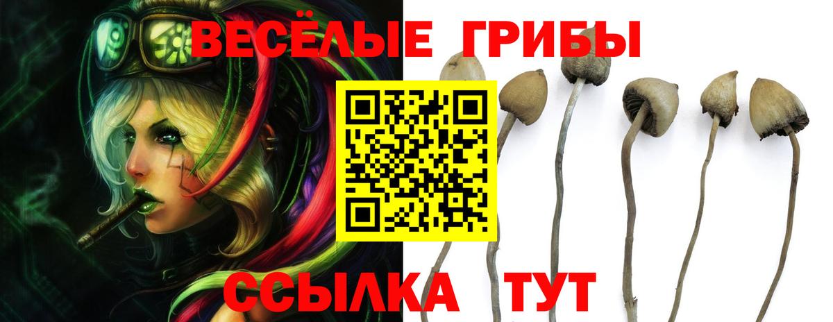 Симферополь  как найти наркотики  Вход с VPN  Галлюциногенные грибы MAGIC MUSHROOMS 